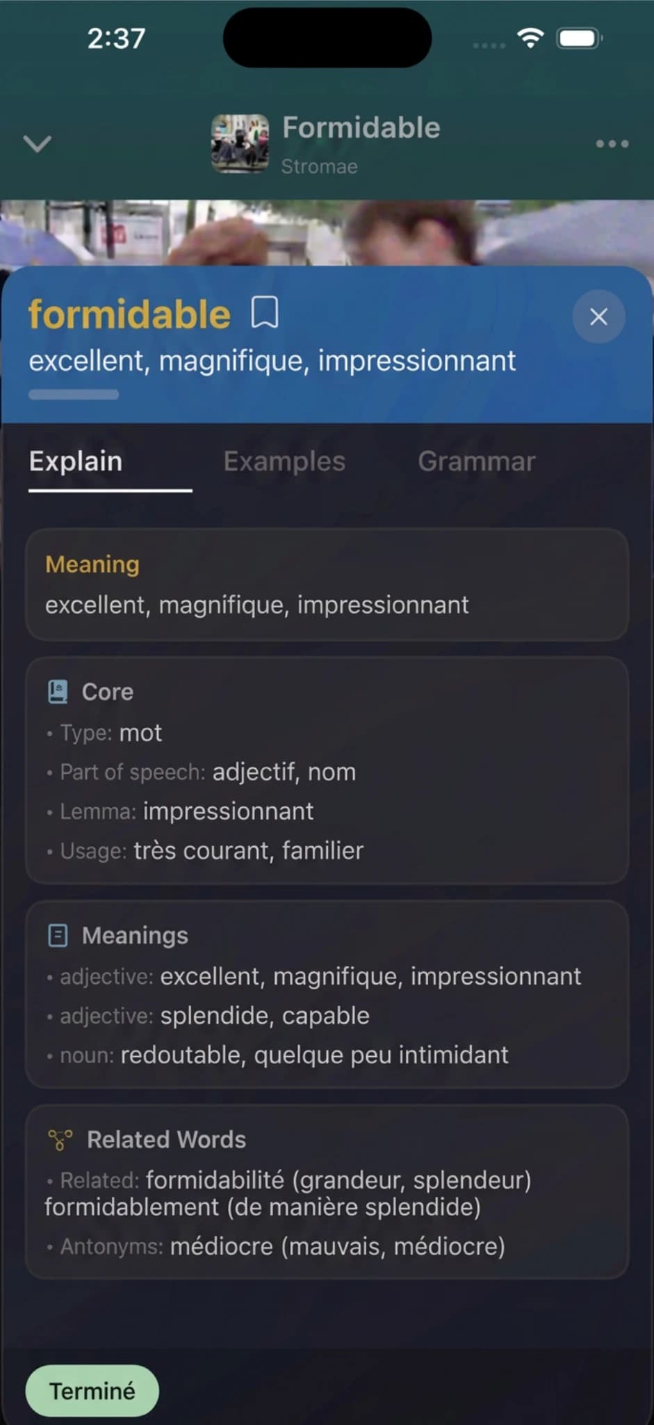 Carte de mot Lyric Lingo avec signification, grammaire et mots associés